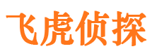 西秀市侦探